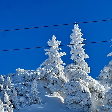 "Die Bergerin" | Appartements Schladming Dış mekan fotoğraf