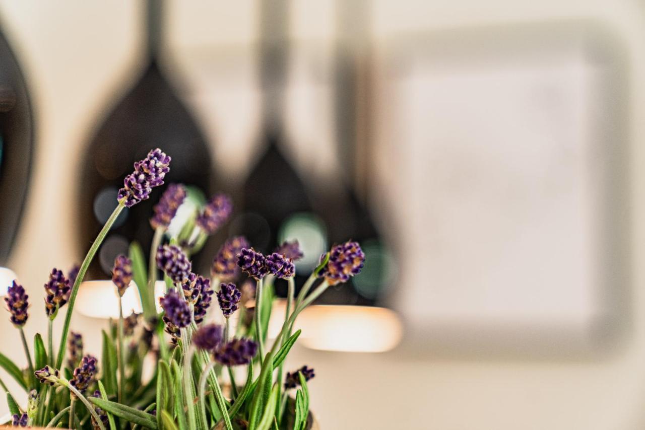 "Die Bergerin" | Appartements Schladming Dış mekan fotoğraf