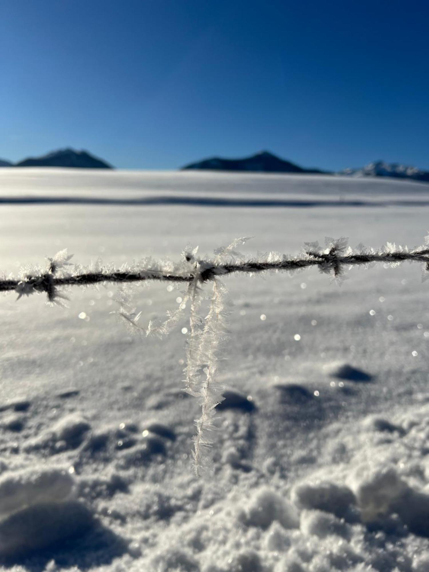 "Die Bergerin" | Appartements Schladming Dış mekan fotoğraf